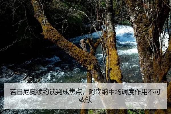 若日尼奥续约谈判成焦点，阿森纳中场调度作用不可或缺