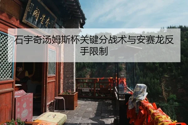 石宇奇汤姆斯杯关键分战术与安赛龙反手限制
