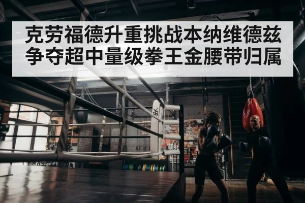 boxer training