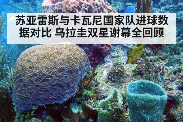 苏亚雷斯与卡瓦尼国家队进球数据对比 乌拉圭双星谢幕全回顾