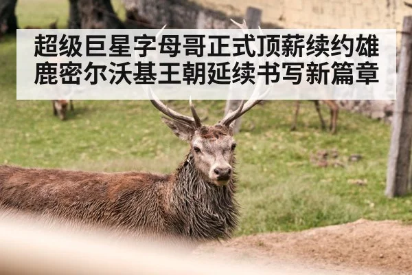 超级巨星字母哥正式顶薪续约雄鹿密尔沃基王朝延续书写新篇章